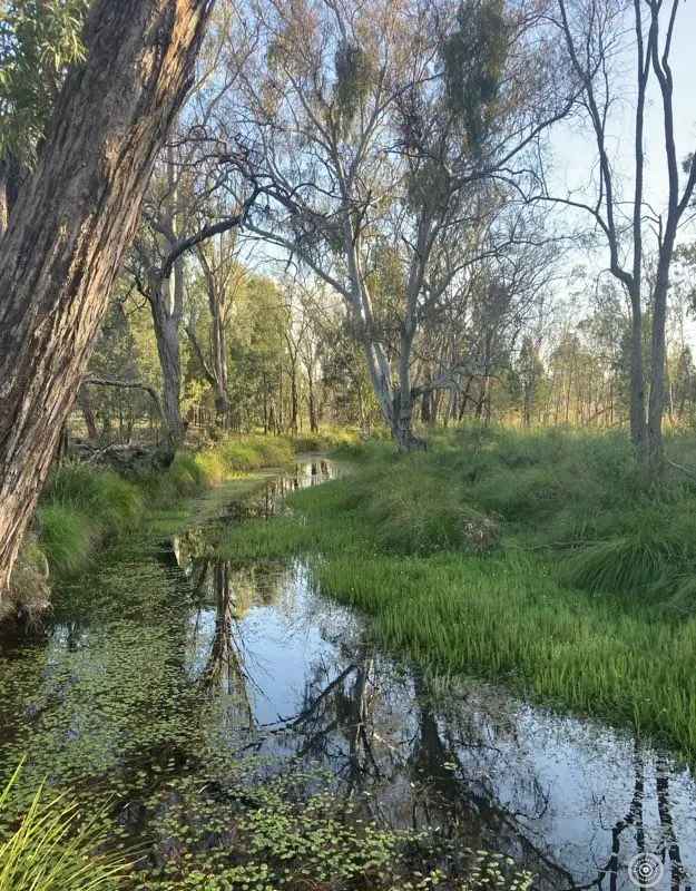 'Homebush Acreage' - Option to buy 1 or 2 bare blocks