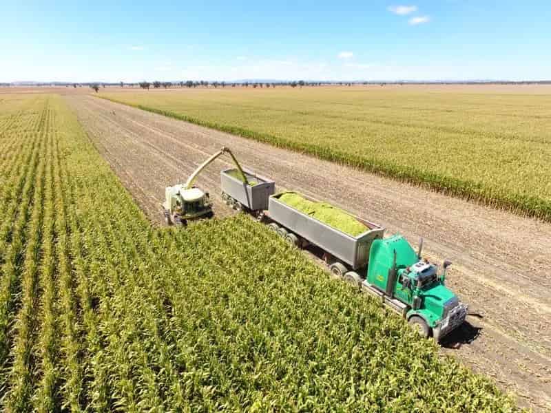 Large Scale production - A Lachlan Valley Gem