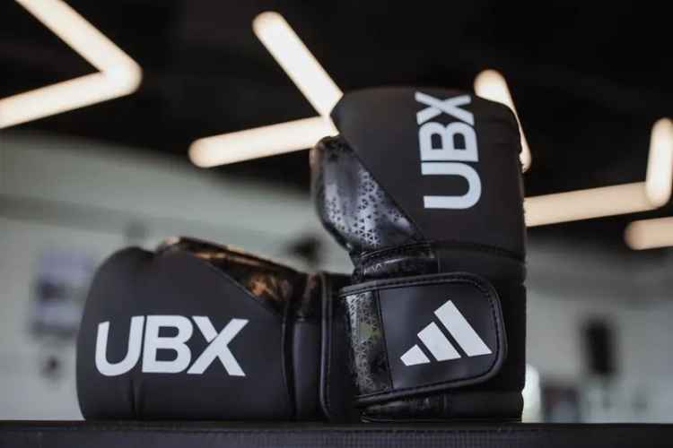 UBX Boxing Gym for Sale Brisbane Inner South High Profit Fitness Business