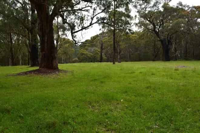 Rural property For Sale , Shire of Colac Otway, Victoria