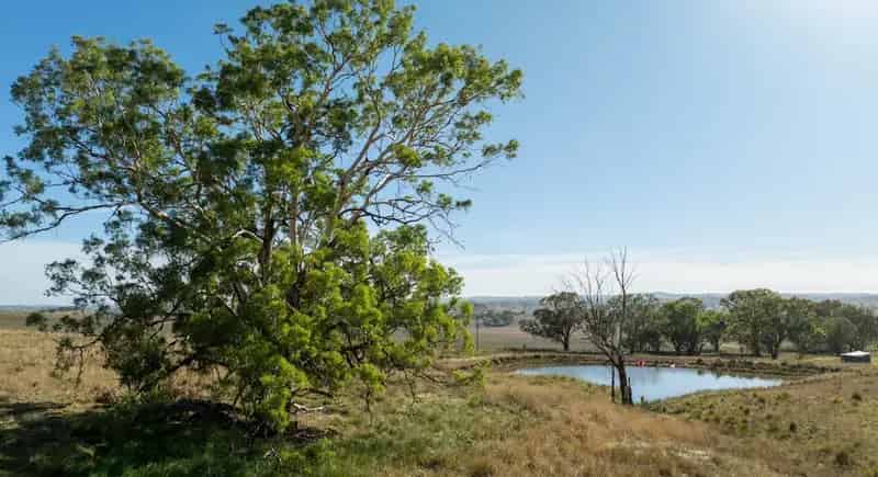 Rural property For Sale , Dubbo Regional Council, New South Wales