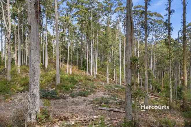 Land For Sale in Bannons Bridge Road, Central Coast, Tasmania