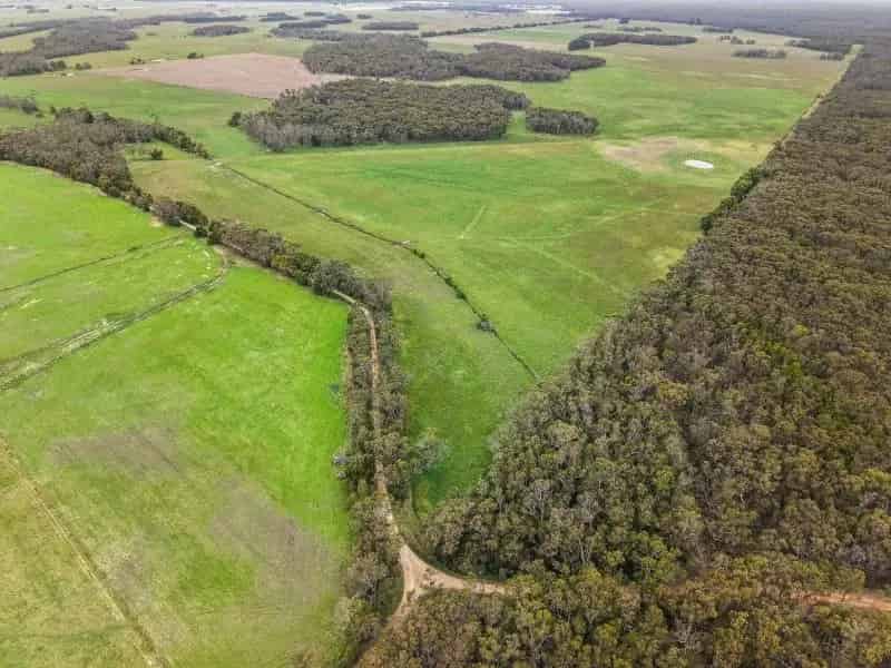 Quality Grazing Land