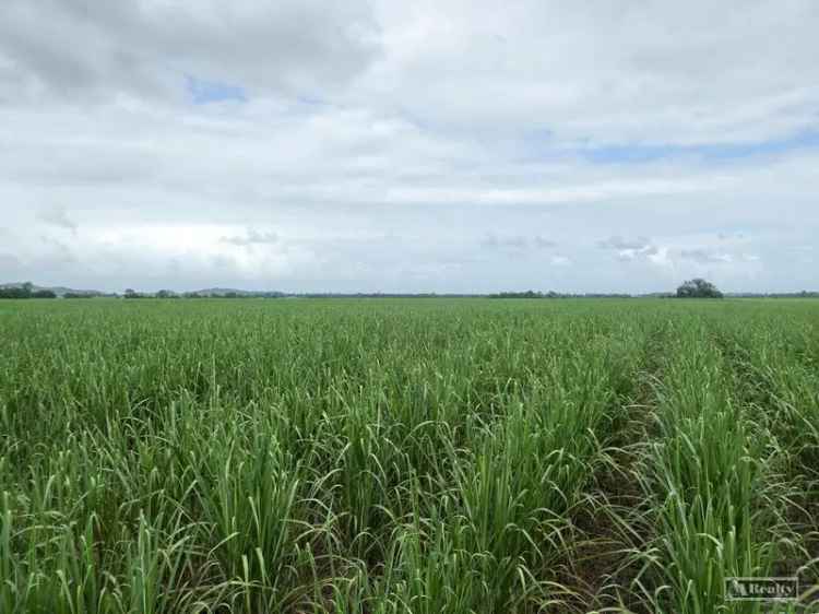 Rural For Sale in Cassowary Coast Regional, Queensland