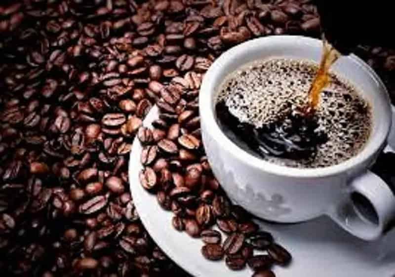 Buy Cafe in St George with Indoor and Outdoor Seating