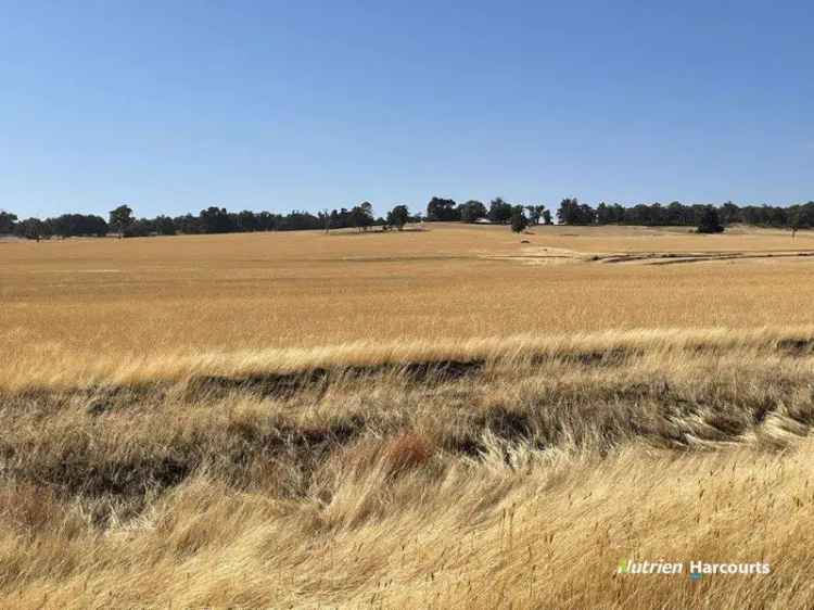 Rural For Sale in Toowoomba Regional, Queensland