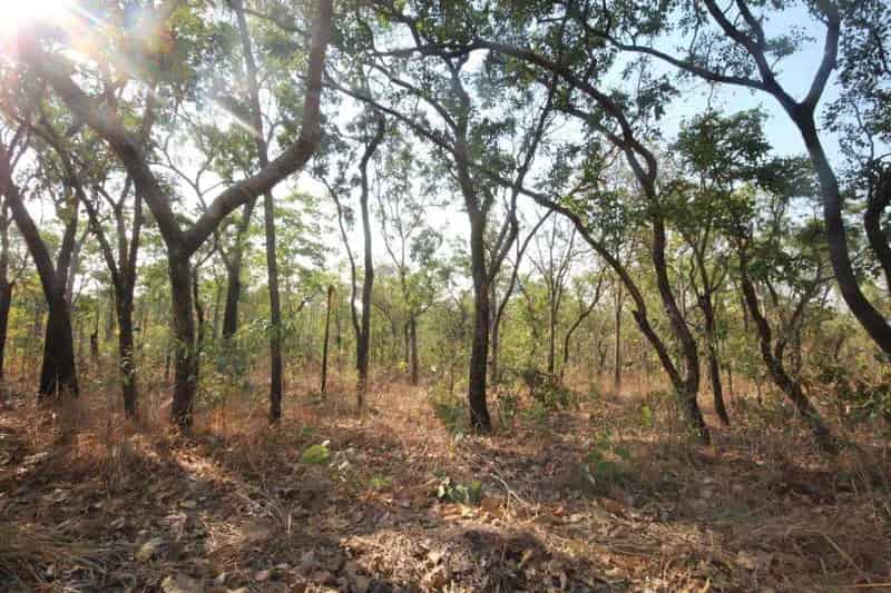 Rural property For Sale , Northern Territory