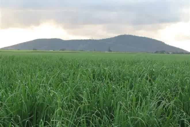 Rural property For Sale , Burdekin Shire, Queensland