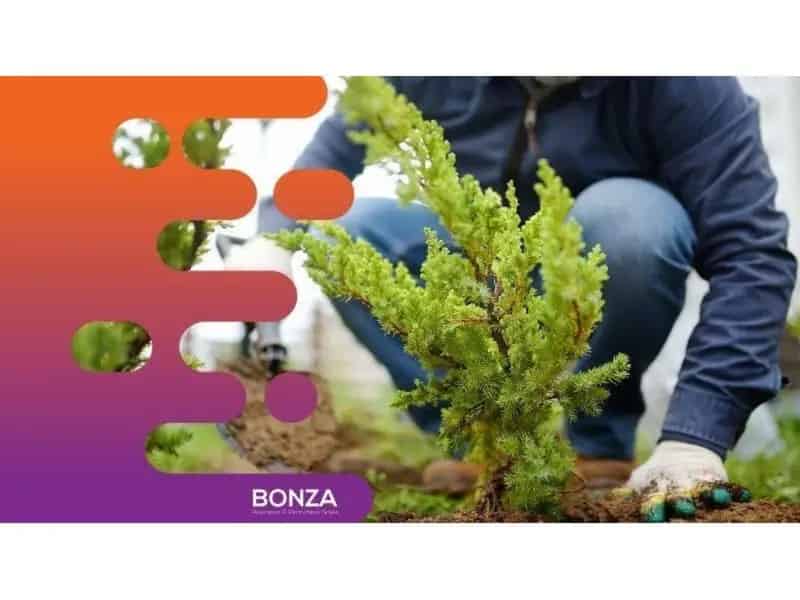35201 Highly Profitable & Growing Landscaping Business