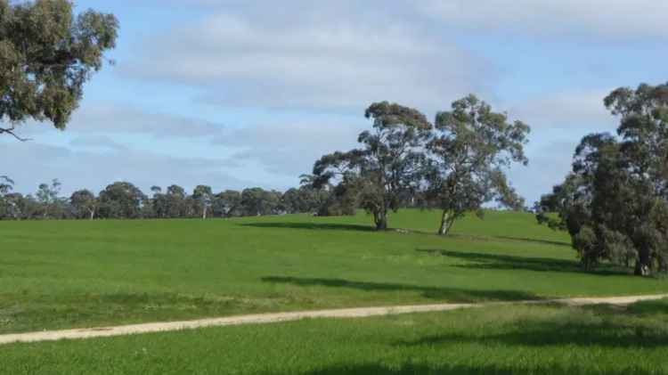 Rural For Sale in Bordertown, South Australia