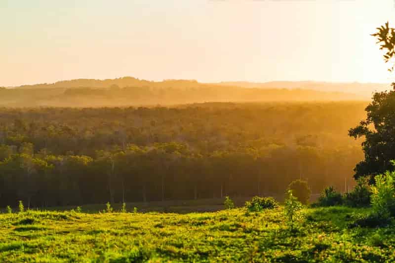 Land For Sale , Ballina Shire Council, New South Wales