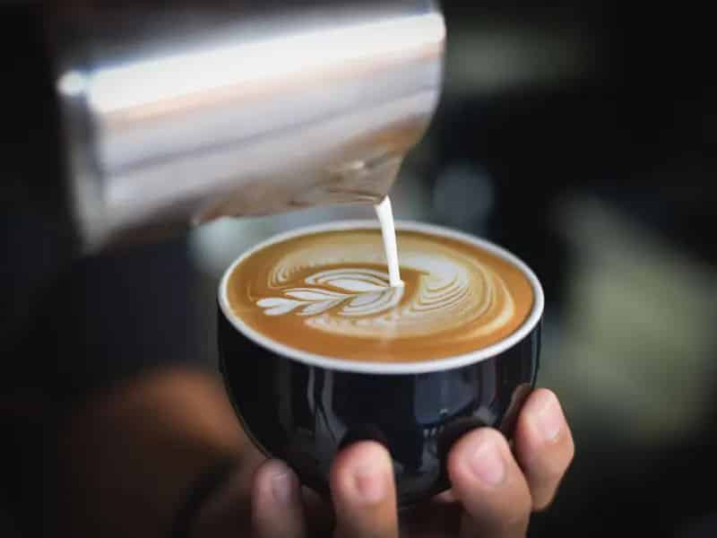 Buy café in Mount Hutton with steady foot traffic and local community focus