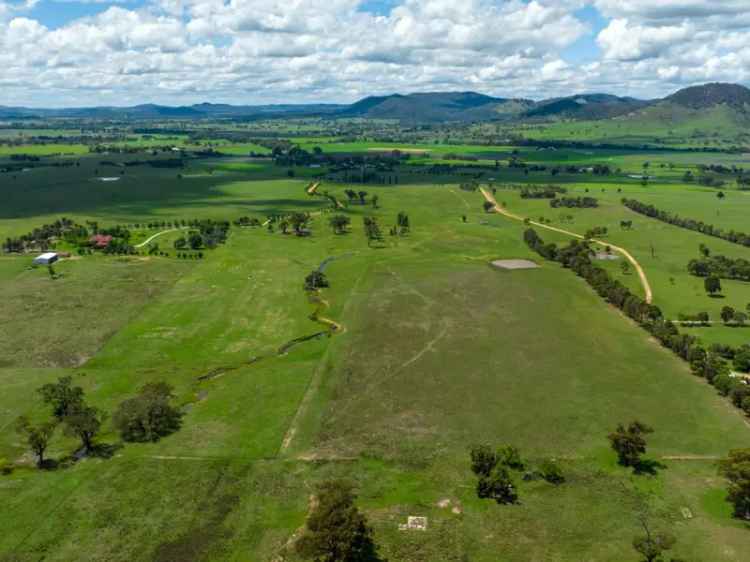 Buy Rural Property 50 Acres in Mudgee with Prime Views and Water License