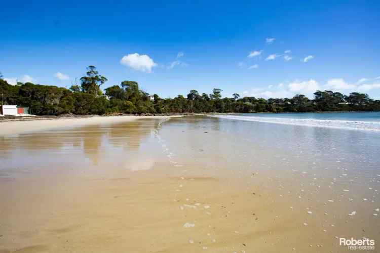 Beach Life & Water Views