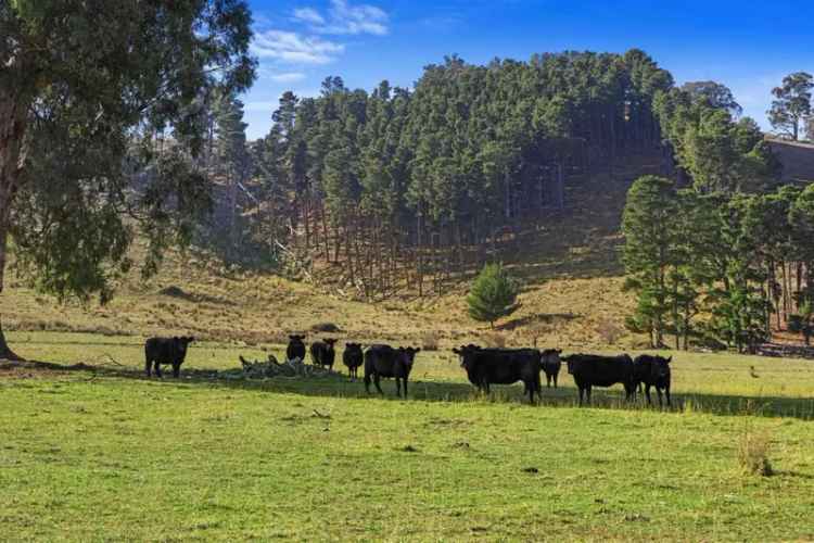 Buy Grazing Property in Victorian High Country with Lake Eildon Frontage