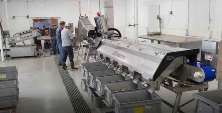 Well-established Manufacturing Business For Sale – Stainless Steel Equipment