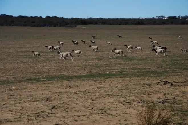 Rural property For Sale , Kalbarri, Western Australia