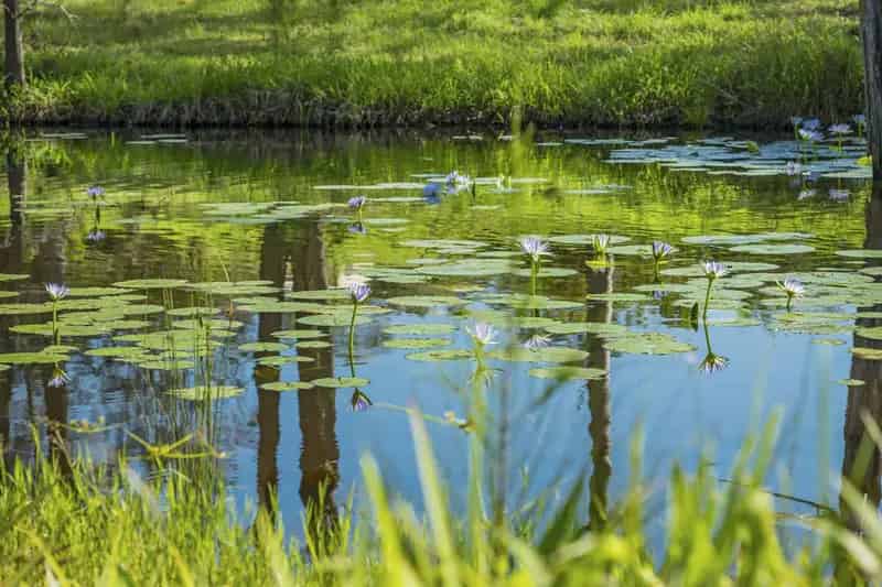 Rural property For Sale , Frederickton, New South Wales