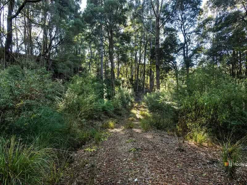 Buy Bush Block in Rural Area with Peace and Privacy