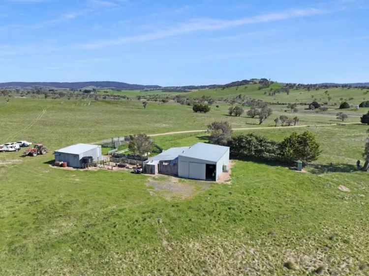 Rural For Rent in Delegate, New South Wales