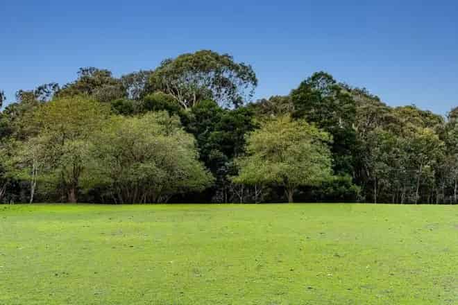Land For Sale , Winchelsea, Victoria
