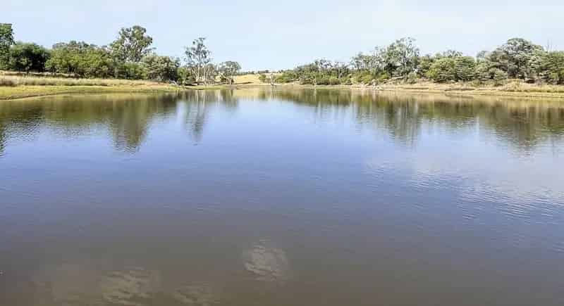 Rural property For Sale , Mitchell, Queensland