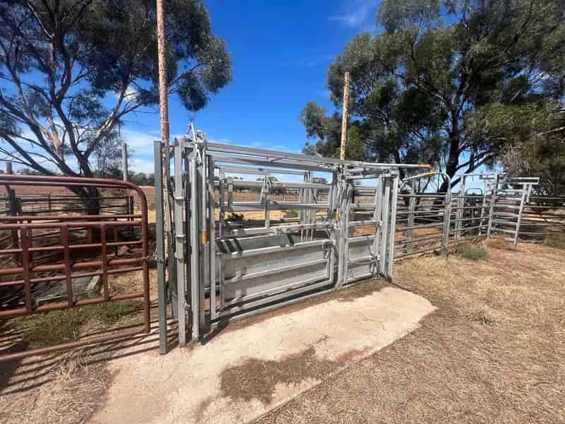 "Kanembo" 345 acres on the edge of West Wyalong