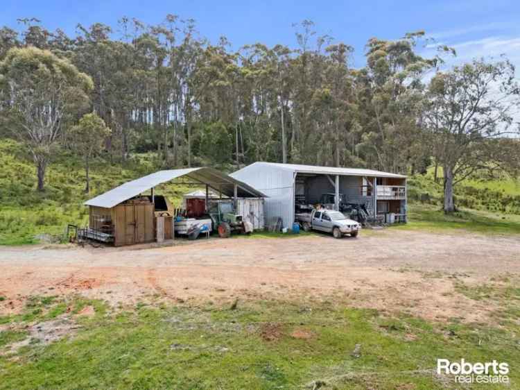  For Sale in Sassafras, Tasmania