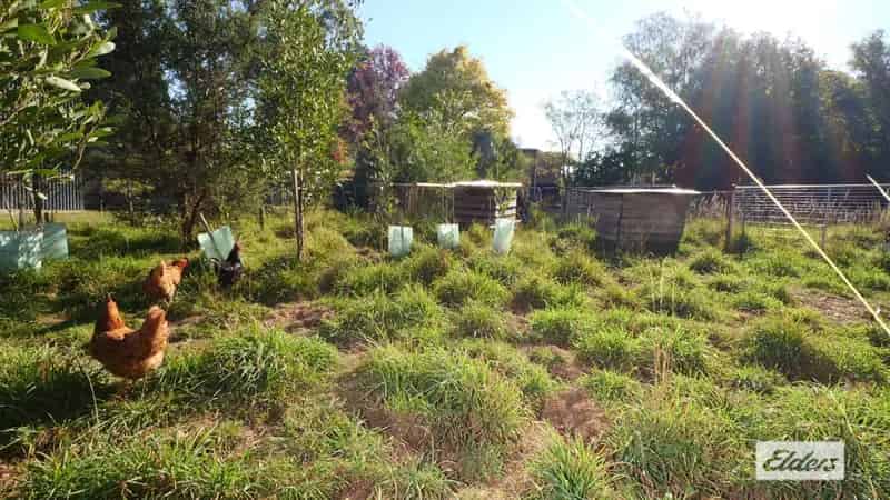 Buy land in Penguin with mountain views and creek