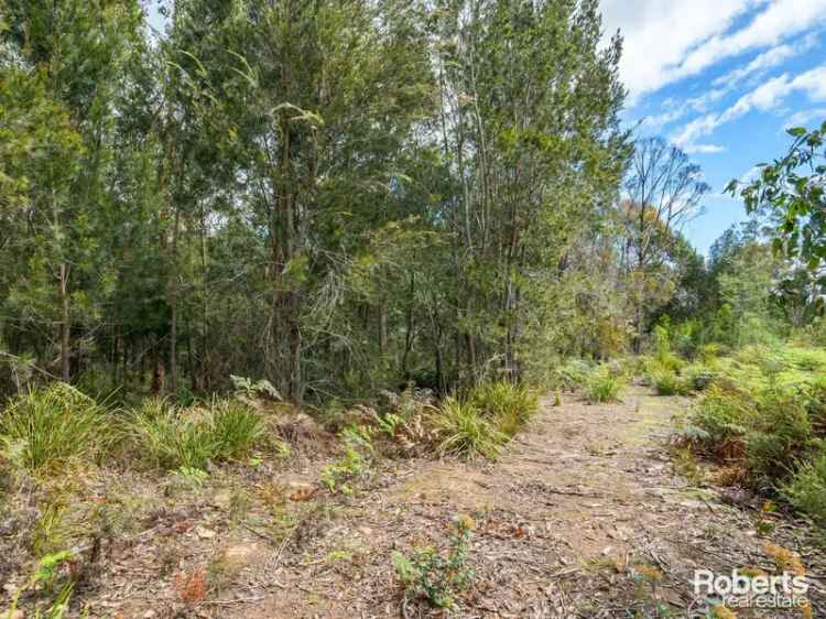 Buy Land Bush Retreat Near Devonport with Ample Space