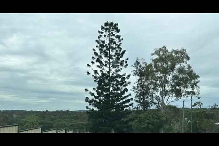 Land For Sale in Gympie Regional, Queensland