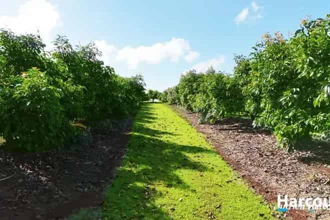 Rural property For Sale , Childers, Queensland