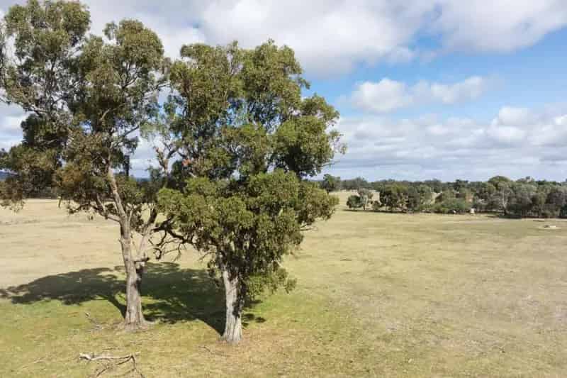 Buy rural property 24.71 acres in Euroa with established bore and power