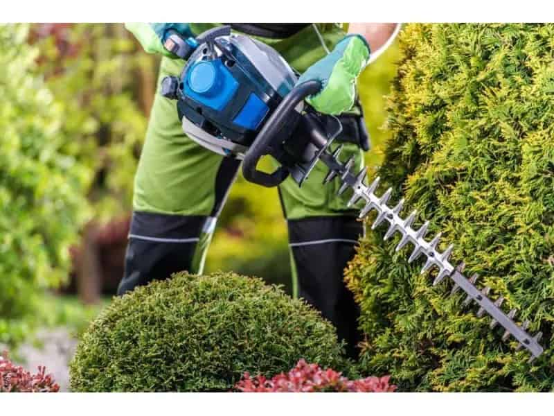 34548 Profitable Arboriculture Business - Growth Potential