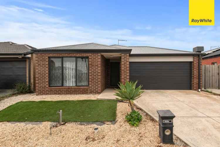 Buy Family Home in Harkness with Modern Kitchen and Low Maintenance Yard