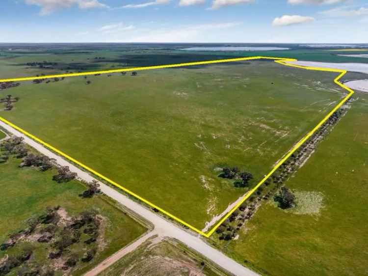 Malleefringe Mixed Farming Property 423 Hectares Irrigated Land High Yield