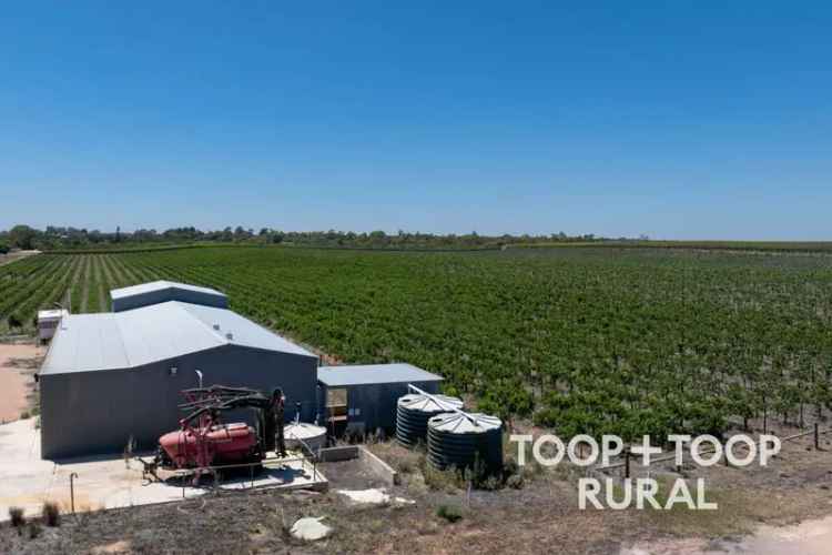 Sunlands Horticultural Property 316.5 Acres 1000ML Water