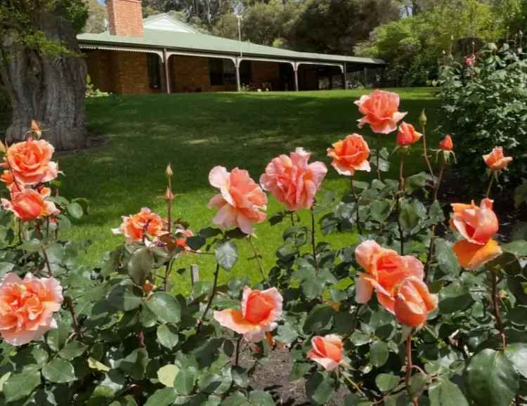  For Sale in Shire Of Esperance, Western Australia