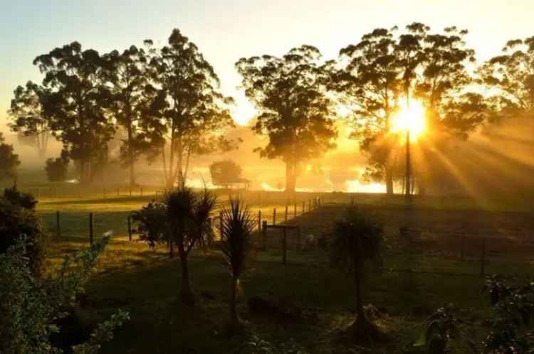 Rural For Sale in Shire Of Manjimup, Western Australia