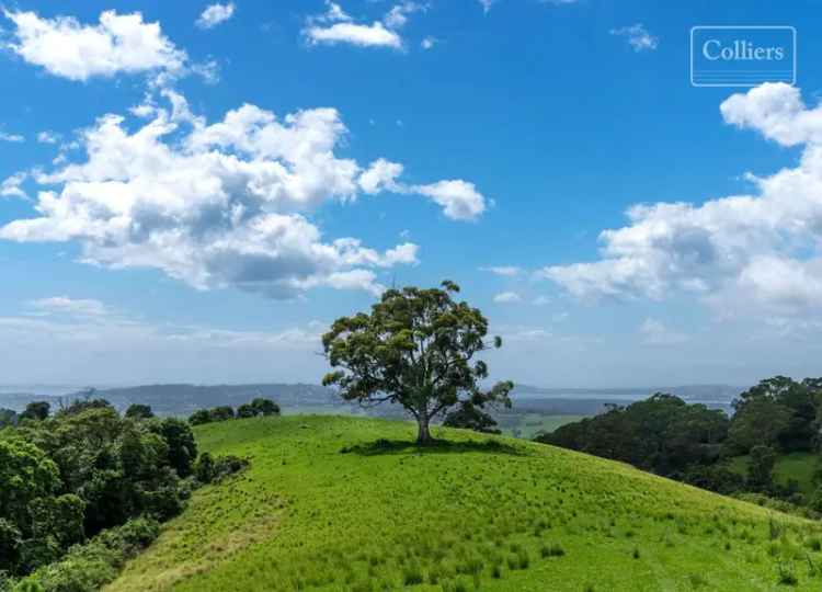 Buy Rural Property in Wollongong with Impressive 60Ha Acreage