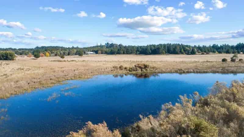 Land For Rent , Queanbeyan-Palerang Regional Council, New South Wales
