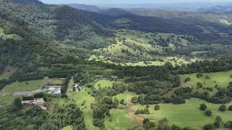 Commercial Springwater Harvesting Asset in Gold Coast Hinterland