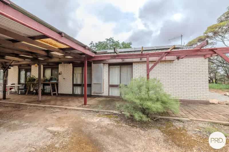Buy rural property in Hattah with garden and multiple sheds
