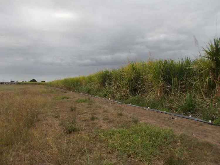 Cane Farm for Sale in Ayr with Irrigation and Solar Panels