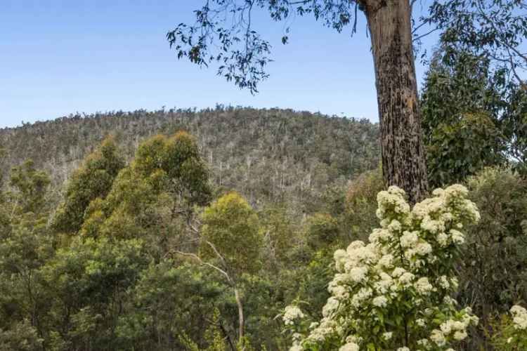 Rural For Sale in Sorell, Tasmania