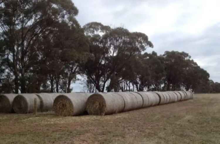 Rural For Sale in City of Greater Bendigo, Victoria