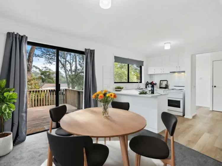 Buy House in Mount Nelson with Renovated Features and Garden