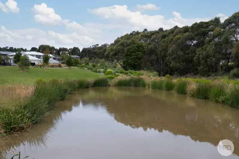 Brown Hill Beauty With Magnificent Outlook