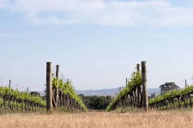 Land For Sale , Yass Valley Council, New South Wales