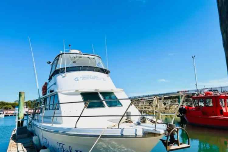 Westernport Fishing Charters - 1P5894